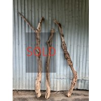 【希少・太め流木】南信州産 天然流木 変形枝流木 淡水流木【全長159〜202cm 幅5〜11.9cm】｜｜いけばな・インテリア・DIY・ドライフラワー素材などに最適