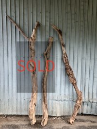 【希少・太め流木】南信州産 天然流木 変形枝流木 淡水流木【全長159〜202cm 幅5〜11.9cm】｜｜いけばな・インテリア・DIY・ドライフラワー素材などに最適