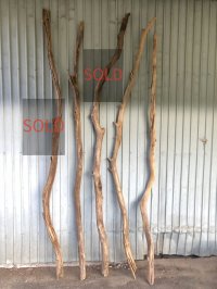 【長い幹流木】南信州産 天然流木 枝流木 まがり天然淡水流木【全長239〜260cm】2m以上｜｜いけばな・インテリア・DIY・ドライフラワー・グリーンディスプレイ素材などに最適