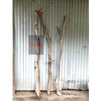 【希少・一点物】南信州産 天然流木 変形枝流木 淡水流木【全長216〜233cm 幅3.9〜9.4cm】｜｜いけばな・インテリア・DIY・ドライフラワー素材などに最適