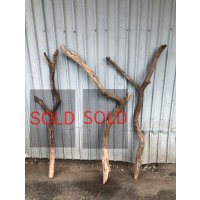 【希少・一点物】南信州産 天然流木 変形枝流木 まがり/枝分かれ流木 淡水流木【全長102〜114cm 幅2.2〜5.4cm】｜｜いけばな・インテリア・DIY・ドライフラワー素材などに最適