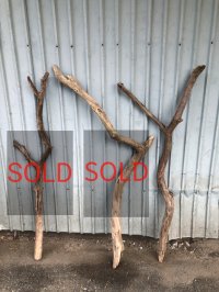 【希少・一点物】南信州産 天然流木 変形枝流木 まがり/枝分かれ流木 淡水流木【全長102〜114cm 幅2.2〜5.4cm】｜｜いけばな・インテリア・DIY・ドライフラワー素材などに最適