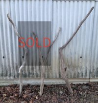 厳選品【変形枝流木】南信州産 淡水 天然流木 枝幹流木（全長１２２．１１１(１００)．１３２ｃｍ）流木インテリア インテリア フェイクグリーン ドライフラワー