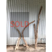 【希少・一点物】南信州産 天然流木 変形枝流木 まがり/枝分かれ流木 淡水流木【全長121〜175cm 幅3.8〜8.6cm】｜｜いけばな・インテリア・DIY・ドライフラワー素材などに最適