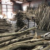 初投稿、はじめに。。