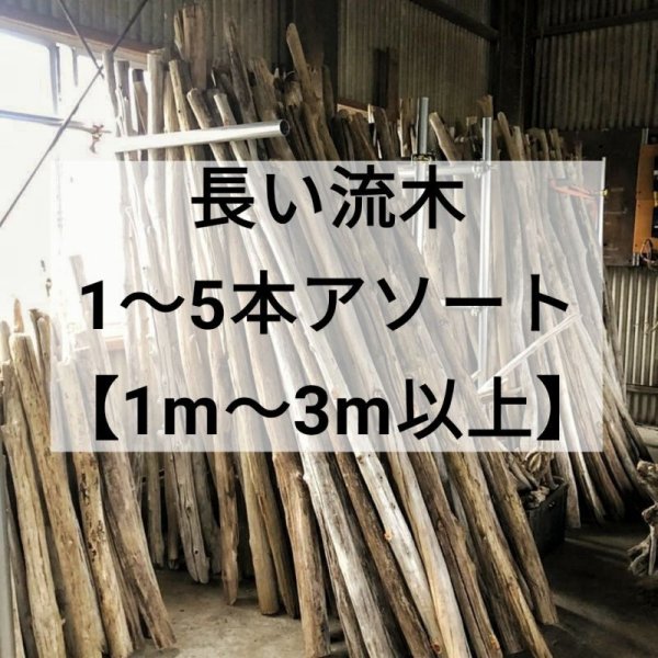 大変希少な長い流木【1m〜4m】の販売になります。建築リノベーションDIY素材にいかがでしょうか?