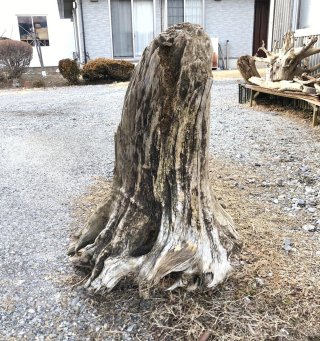 格安流木素材販売 まがりや流木
