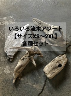 らんらん様　　流木　淡水域採取　１２０本以上あり 流木について語る｜moss paradise3055（モスパラ）