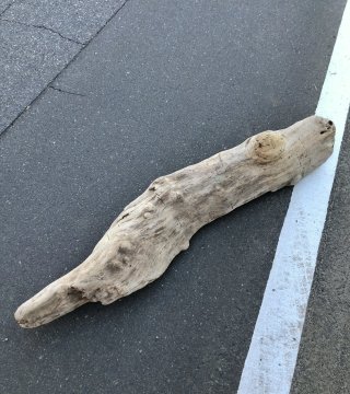 格安流木素材販売 まがりや流木