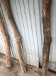 画像3: 【希少・一点物（太め流木）】南信州産 天然流木 太い枝流木（淡水流木）【全長247〜276cm 幅7.3〜12cm】｜キャットタワー・爬虫類ケージ・インテリア・DIY素材などに最適 (3)