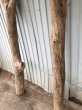 画像3: 【希少・一点物（太め枝分かれ流木）】南信州産 天然流木 太い枝流木（淡水流木）【全長232〜272cm 幅7.3〜11.6cm】｜キャットタワー・爬虫類ケージ・インテリア・DIY素材などに最適 (3)