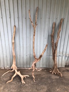 大型の流木 - 家具