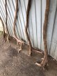 画像3: 【希少・根付き幹流木】南信州産 天然流木 変形枝根流木 まがり/枝分かれ流木 淡水流木【全長104〜128cm】｜｜いけばな・インテリア・DIY・ドライフラワー素材などに最適 (3)