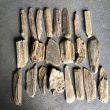 画像1: 格安流木お得セット●南信州産 淡水天然流木【S〜Mサイズ】２２個セット まとめ売り 通販 格安セット 流木【チランジア着床・ドライフラワー・ディスプレイ・インテリア】 (1)