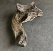 画像3: 【絶品】【特大流木】南信州産 源流淡水 天然流木（ 約１１０×５０×８0cm）大型流木 根流木 特大流木 大きな流木 変形流木 (3)