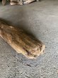 画像3: 【特大流木】南信州産 源流淡水 天然流木（ 約１１８×幅１０〜１５cm）大型流木 特大流木 大きな流木 (3)