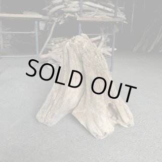 特大流木 特大流木販売｜法人向け大型装飾・庭園・商業施設用・個人DIYにも