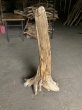 画像3: 【特選絶品】【特大流木】南信州産 源流淡水 天然流木（ 約１０７×５０×３７cm）大型流木 特大流木 大きな流木  根流木 (3)