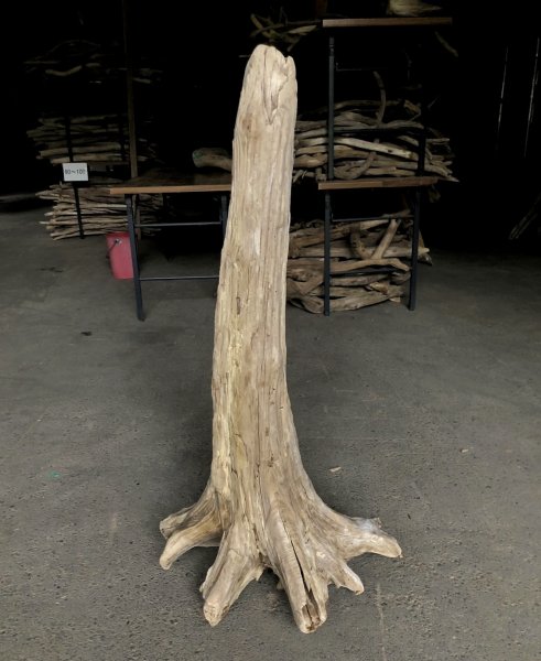 画像1: 【特選絶品】【特大流木】南信州産 源流淡水 天然流木（ 約１０７×５０×３７cm）大型流木 特大流木 大きな流木  根流木 (1)