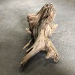 画像2: 南信州産｜根流木 淡水 天然流木【大きめサイズ・厳選一品】（ 約40×32×28cm） (2)