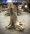 画像1: 南信州産｜根流木 淡水 天然流木【大きめサイズ・厳選一品】（ 約40×51×34cm） (1)