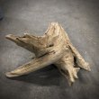 画像3: 南信州産｜根流木 天然流木【大きめサイズ・厳選一品】（ 約50×32×56cm） (3)