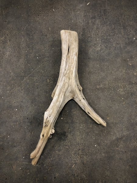 画像1: 南信州産｜変形流木 天然流木【大きめサイズ・厳選一品】（ 約81×34cm・幹幅12〜14cm） (1)
