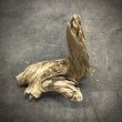 画像2: 南信州産｜淡水流木 天然流木【大きめサイズ・厳選一品】（ 約43×47×28cm） (2)