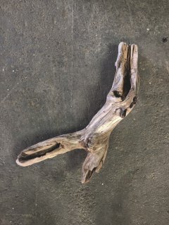 天然自然流木　ビッグな超希少　龍木竜木辰年　直接引き渡し限定　大阪府 木目込み人形・開運招福竜 （ちりめん）｜株式会社さくらほりきり