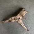 画像3: 【特選絶品】【特大流木】南信州産 源流淡水 天然流木（ 約84×50×25cm）大型流木 特大流木 大きな流木 (3)