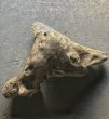 画像3: 【特選絶品】【特大流木】南信州産 源流淡水 天然流木（ 約124×96×35cm）大型流木 特大流木 大きな流木 根流木 (3)