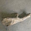 画像2: 【特選絶品】【特大流木】南信州産 源流淡水 天然流木（ 約112×35×38cm）大型流木 特大流木 大きな流木 (2)