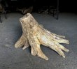 画像1: 【特選絶品】【特大流木】南信州産 源流淡水 天然流木（ 約63×47×55cm）大型流木 特大流木 大きな流木 根流木 (1)