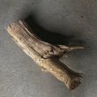 画像3: 【特選絶品】【特大流木】南信州産 源流淡水 天然流木（ 約82×48×28cm）大型流木 特大流木 大きな流木 (3)