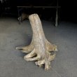 画像4: 【特選絶品】【特大流木】南信州産 源流淡水 天然流木（ 約73×59×45cm）大型流木 特大流木 大きな流木 根流木 (4)