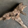 画像4: 【特選絶品】【特大流木】南信州産 源流淡水 天然流木（ 約84×50×25cm）大型流木 特大流木 大きな流木 (4)