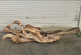 大型流木 天然 Amazon.co.jp: majoywoo 天然大型流木 水槽装飾 爬虫類装飾 長さ