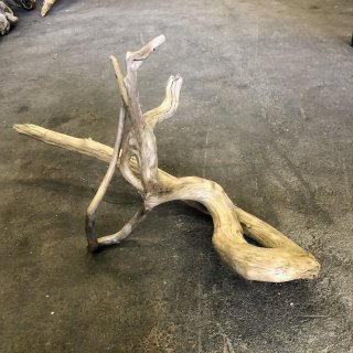 国産天然流木　源流淡水　95㎝　大型 特大流木販売｜法人向け大型装飾・庭園・商業施設用・個人DIYにも