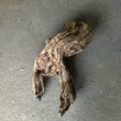 画像4: 【特選絶品】【特大流木】南信州産 源流淡水 天然流木（ 約66×33×21cm）大型流木 特大流木 大きな流木 (4)