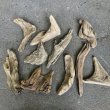 チランジアやサボテンなどの植物アレンジに使える淡水流木。自然な質感が魅力の国産素材です。まがり屋流木。