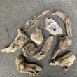 南信州産の淡水流木を厳選した天然素材の流木セット。エアープランツやチランジア・ドライフラワー装飾・インテリア流木・ハンドメイド素材に最適な国産流木を通販で販売しています。まがり屋流木。 