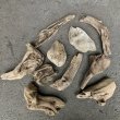 塩分や化学物質、虫の卵を含まない南信州の清流で採取した天然流木。安全で環境にやさしい国産素材としてDIYや建築・装飾に最適です。まがり屋流木。 