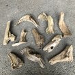 南信州産の淡水流木を厳選した天然流木のまとめ売りセット。エアープランツやチランジア着床・ドライフラワー装飾・インテリア装飾に最適な形状の国産流木を通販で販売しています。まがり屋流木。