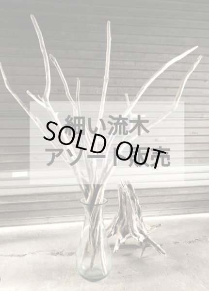 画像1: 専用出品001 流木180〜200 3cm以下 なるべく真っ直ぐ　５本アソートセット　送料込み (1)