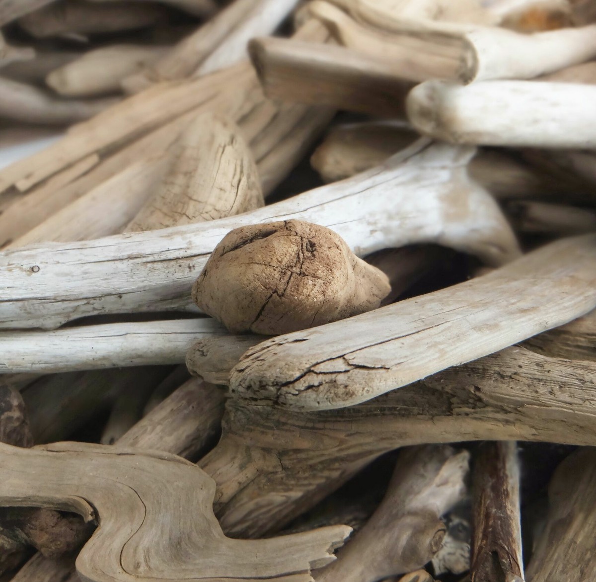 格安流木素材販売 まがりや流木