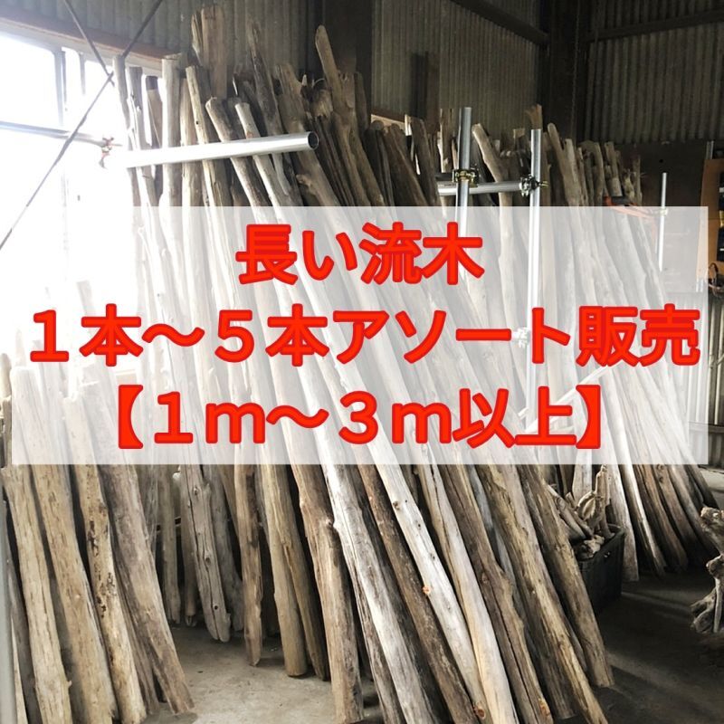 １ｍ〜３ｍ前後 長い流木】南信州産 枝幹 長い流木 天然流木 格安 ...