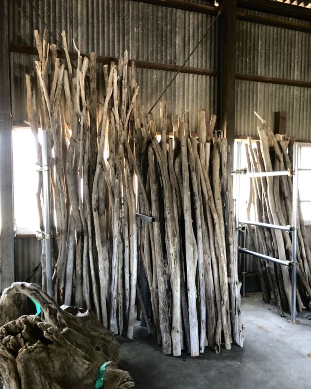 南信州 天然流木 長い枝流木 アソート販売 １６０cm〜180cm ３本セット