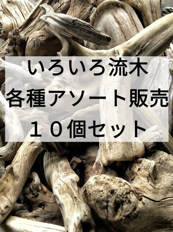 南信州産 天然流木 いろいろ流木 各種アソート販売 １０個セット